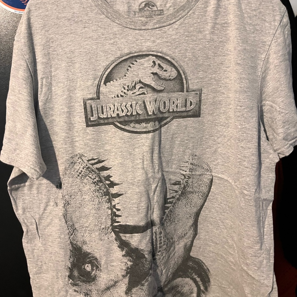 Jurassic World Gray Graphic T-Shirt
